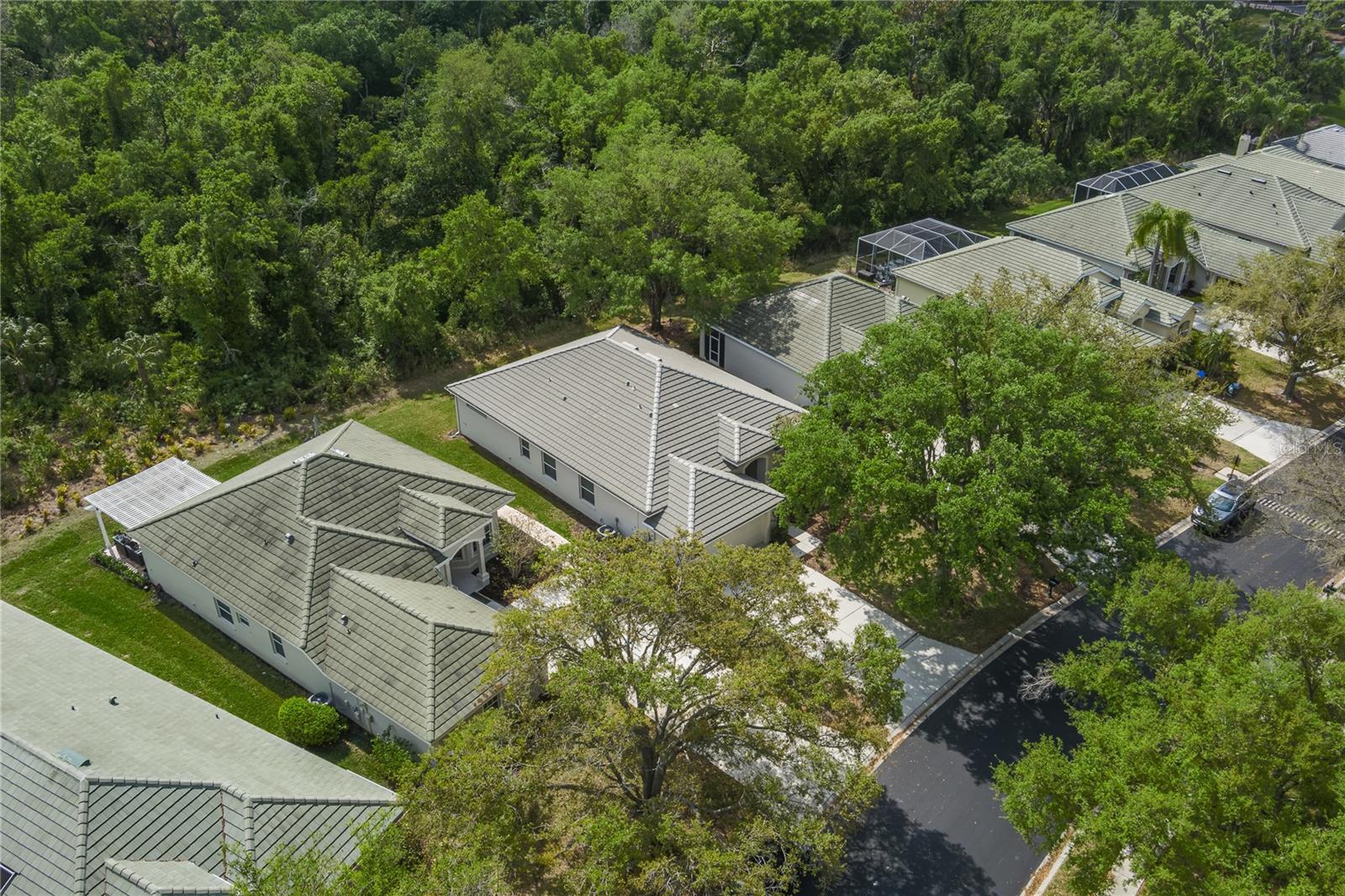 3208 Woodland Fern Dr Property Photo 26