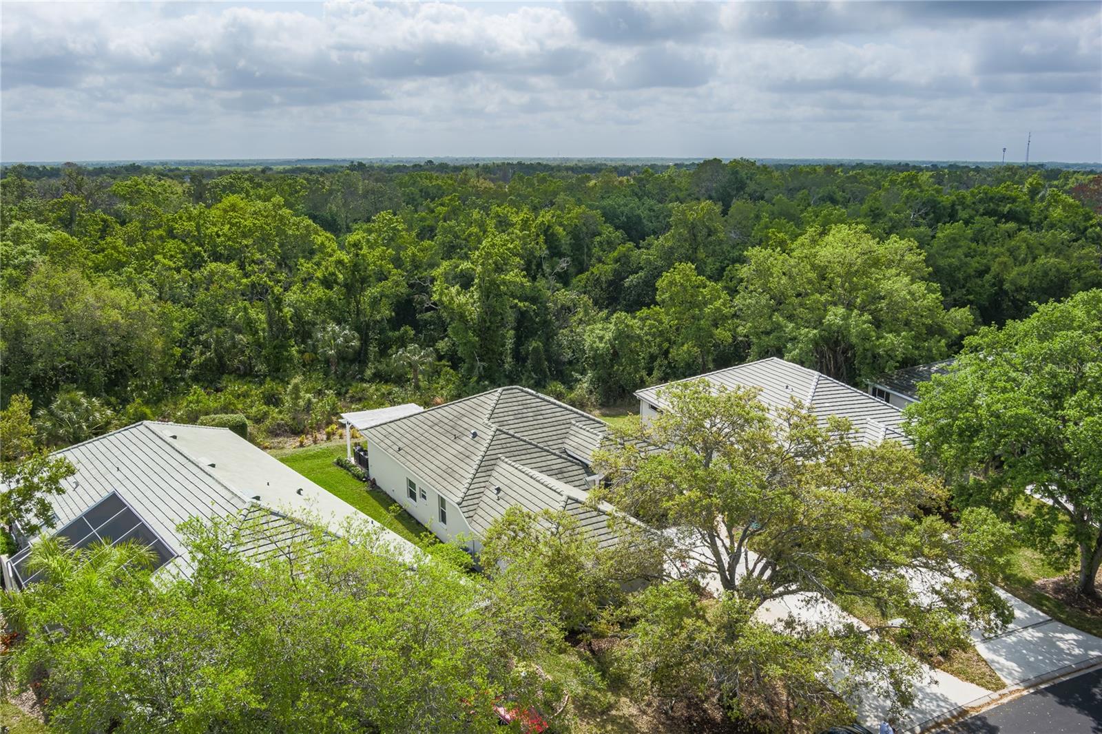 3208 Woodland Fern Dr Property Photo 28