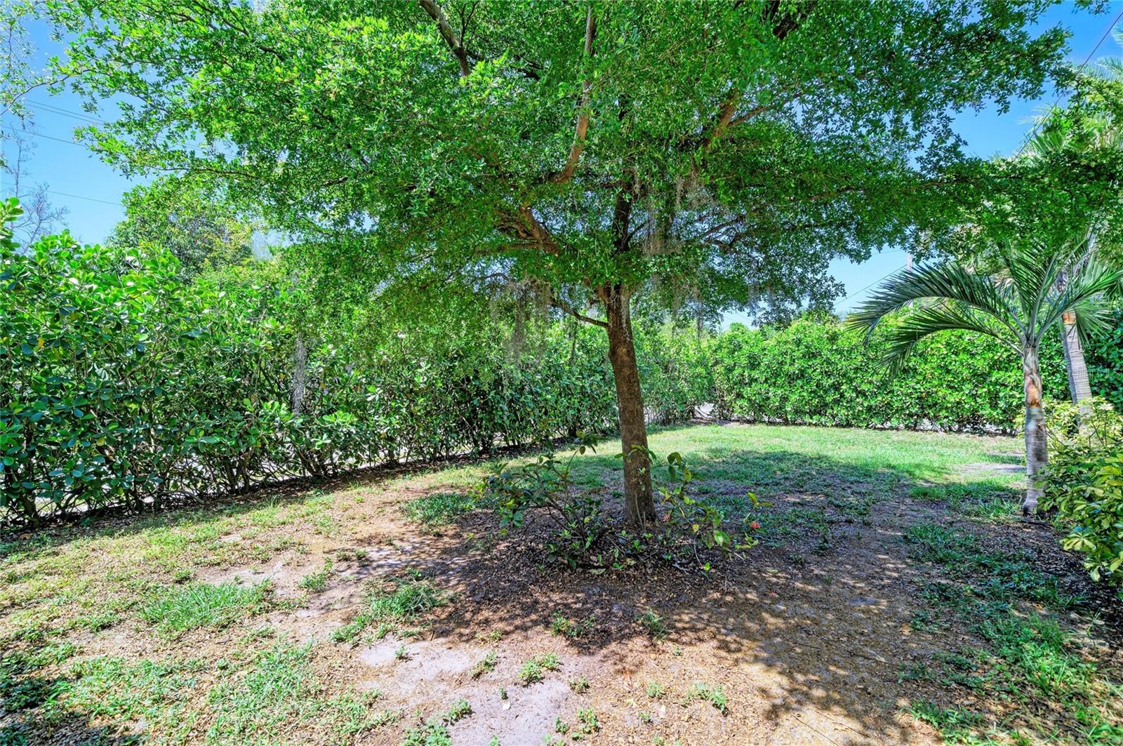 3710 Rilma Ave Property Photo 33