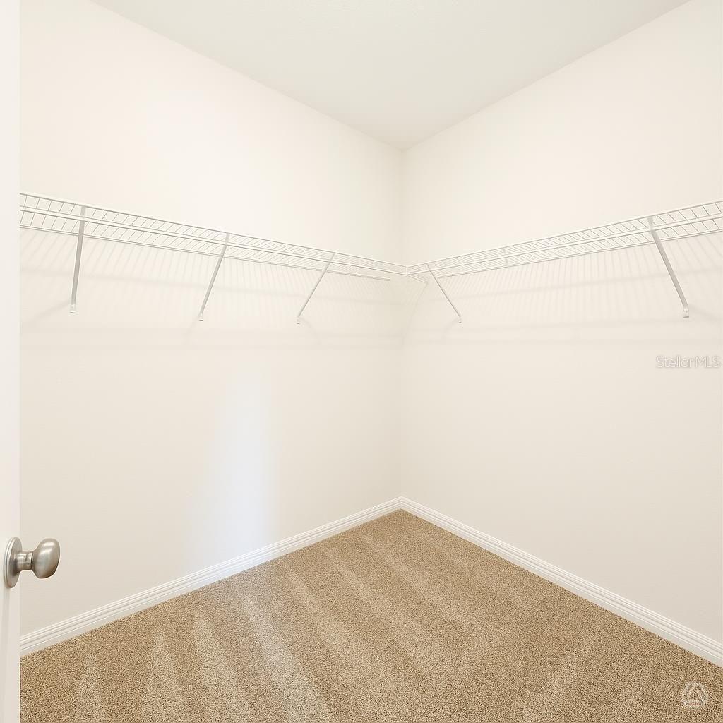 13118 Sassafras Trail Property Photo 11