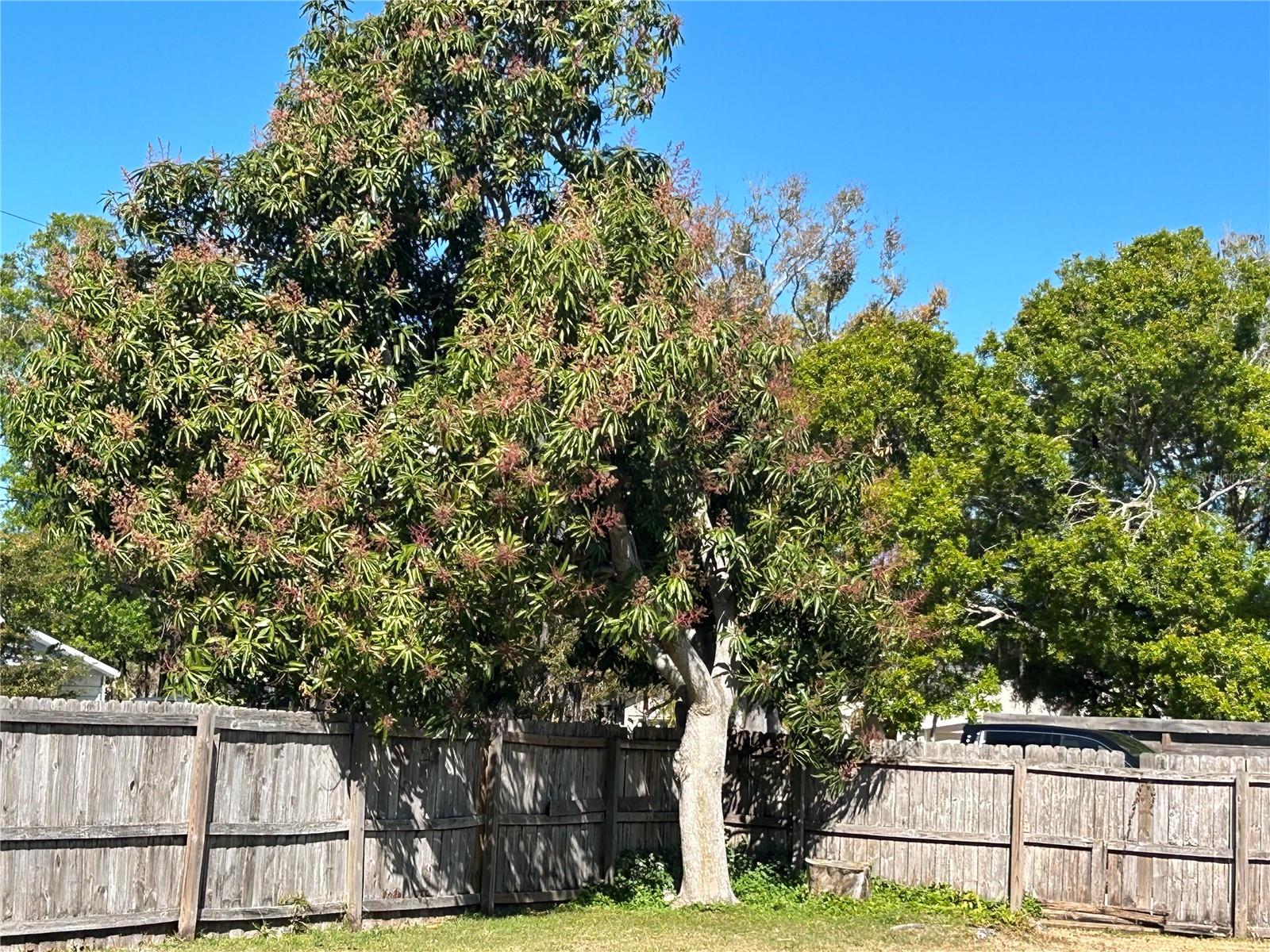 4722 Harris Ave Property Photo 21
