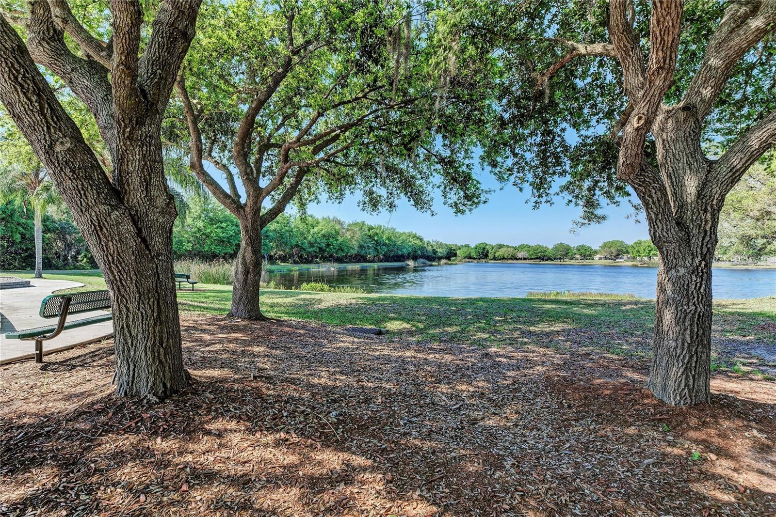 12821 Balsam Ter Property Photo 68