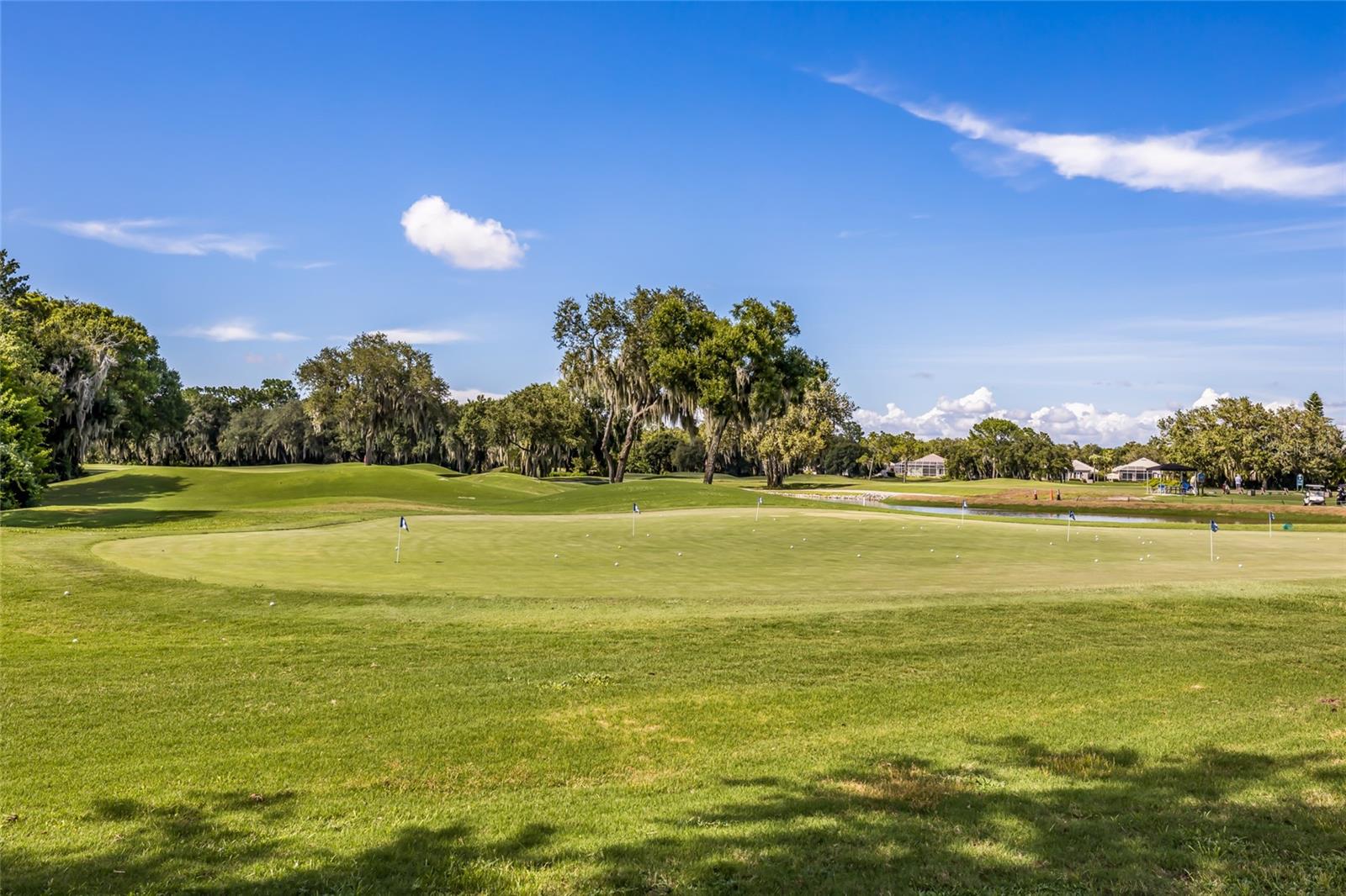 5011 Tobermory Way Property Photo 68
