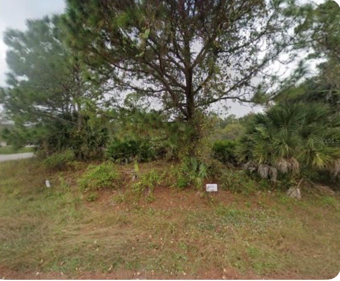 4804 HADER RD Property Photo 1