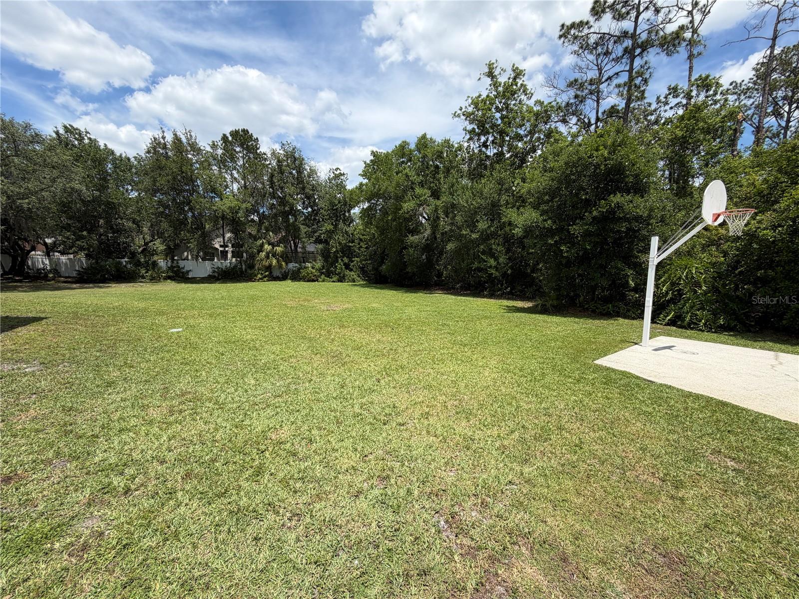 2966 Post Rock Ct Property Photo 41