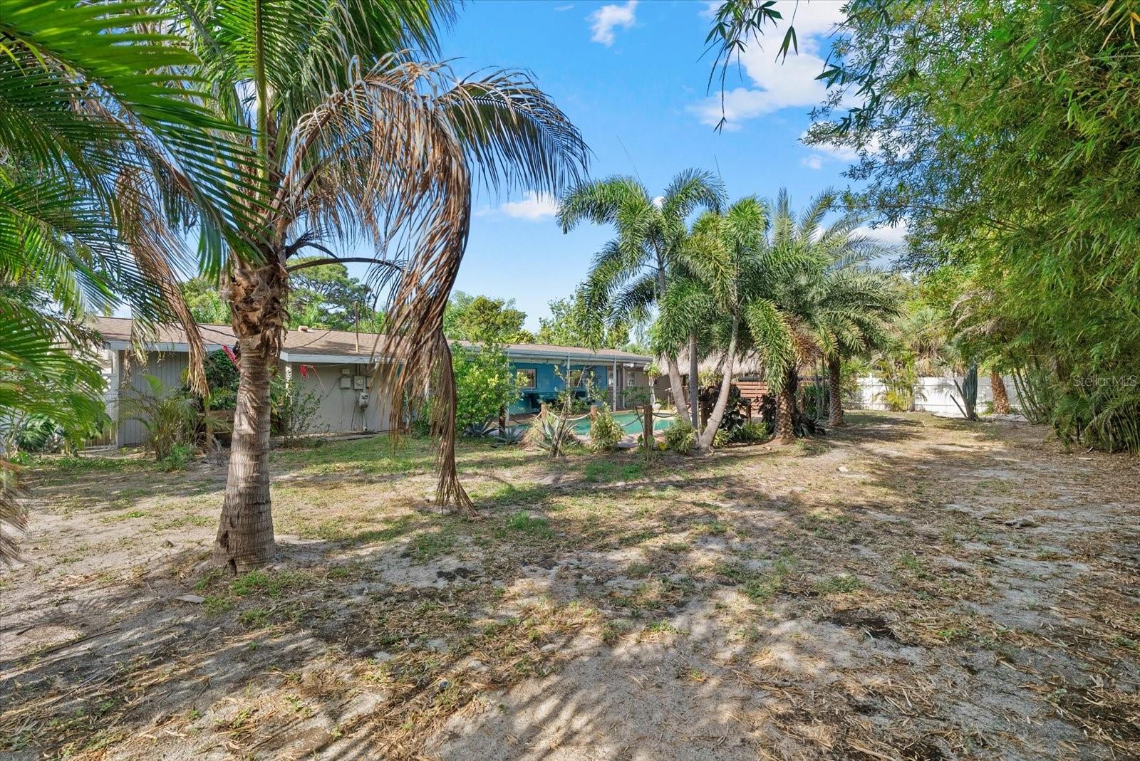 361 Scott Ave Property Photo 47