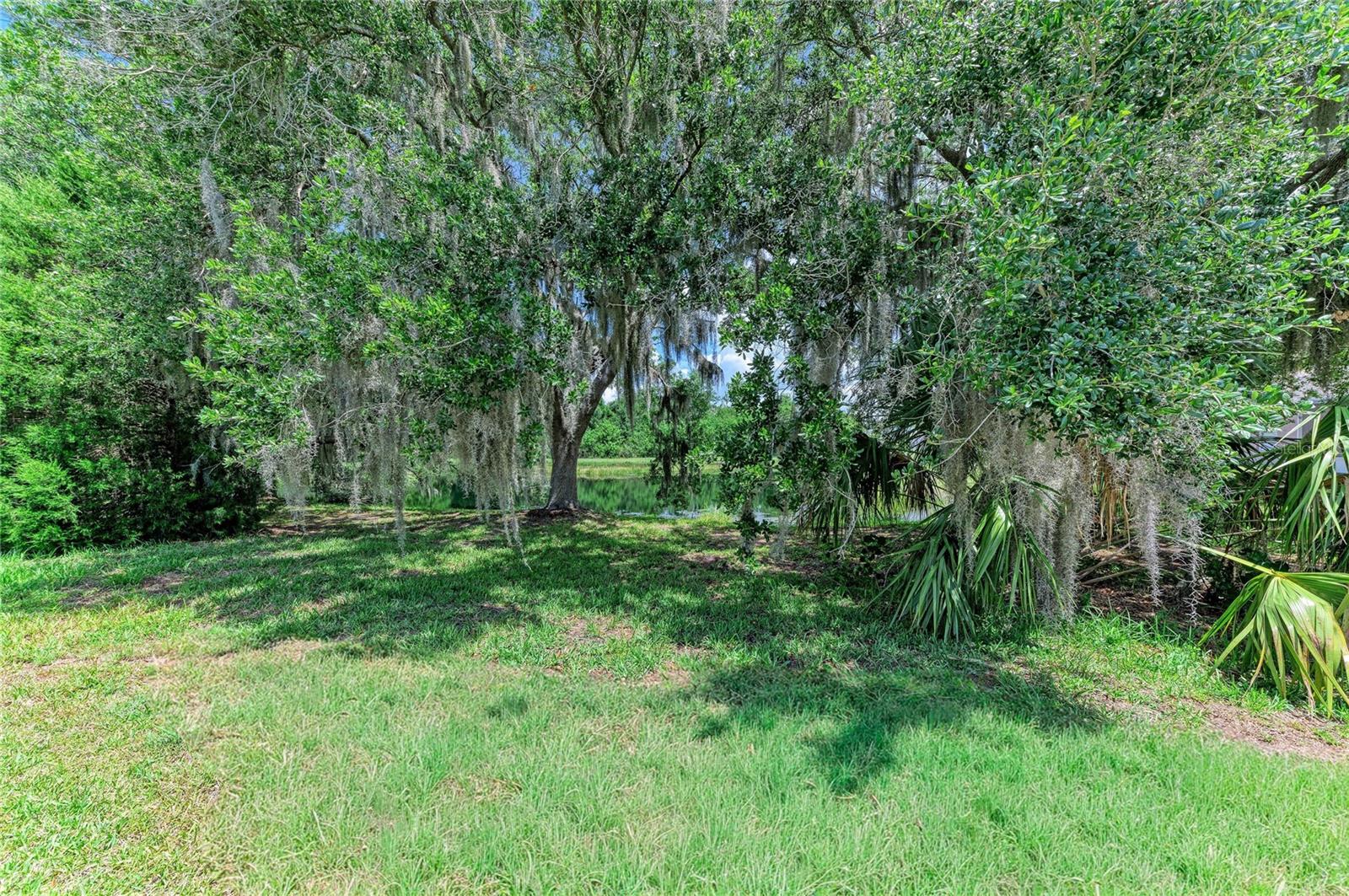 11515 Sweetgrass Dr Property Photo 38