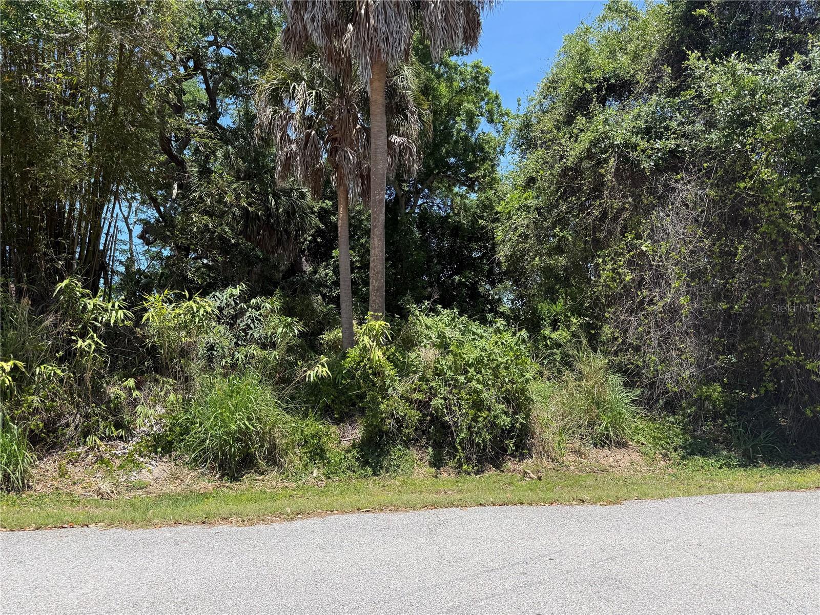 BURKE RD Property Photo 1