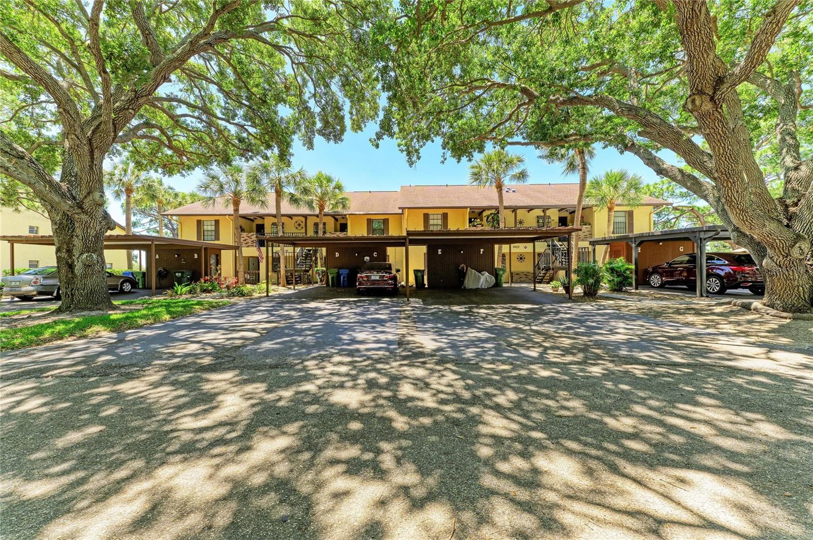 4412 Spicewood Dr #e Property Photo 38