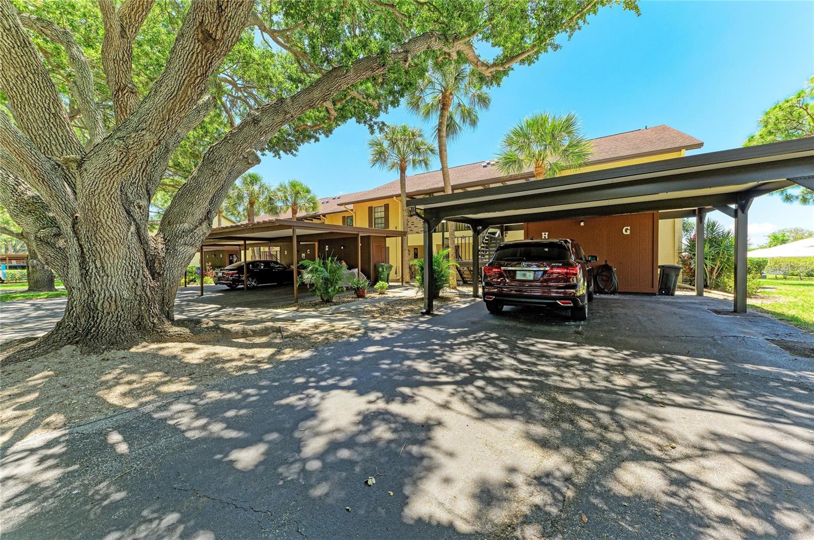 4412 Spicewood Dr #e Property Photo 42