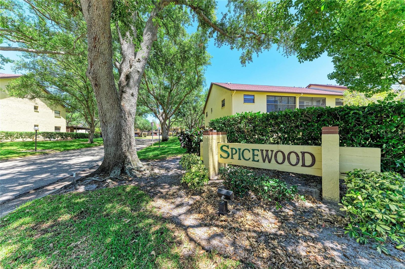 4412 Spicewood Dr #e Property Photo 43