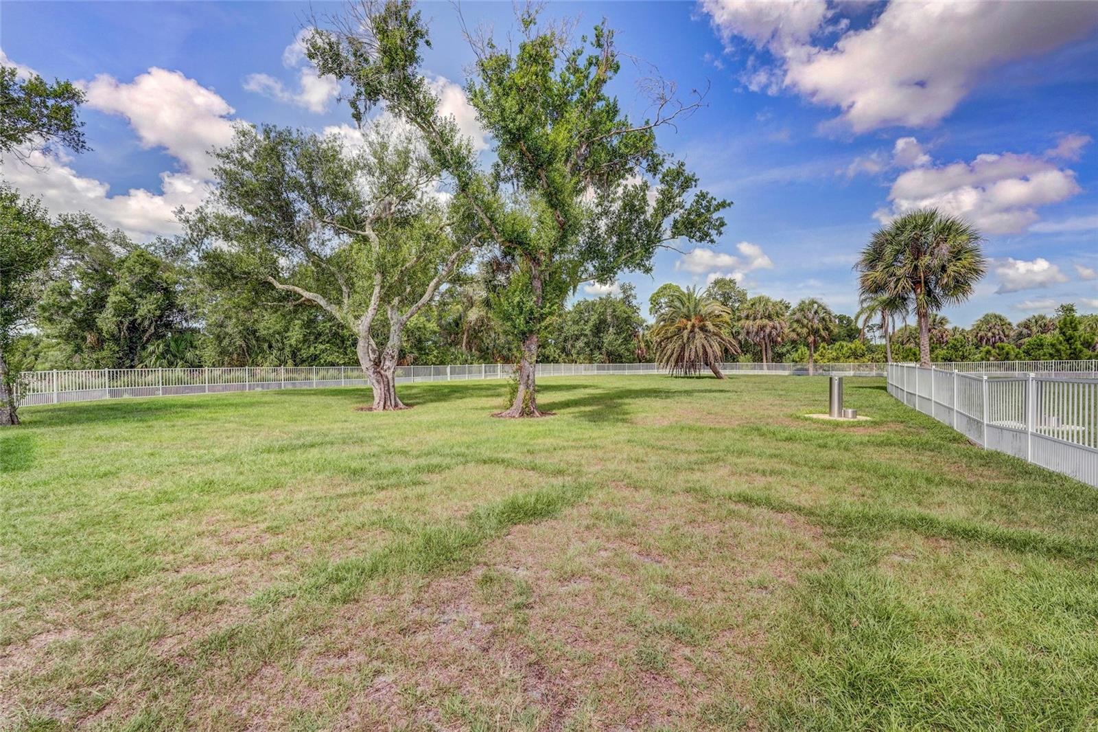 10233 Lake Wales Cir Property Photo 77