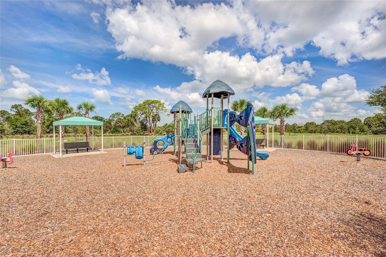 10233 Lake Wales Cir Property Photo 78