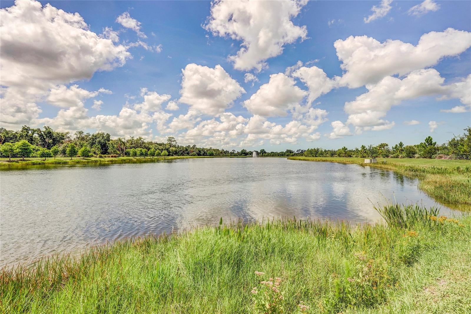 10233 Lake Wales Cir Property Photo 83