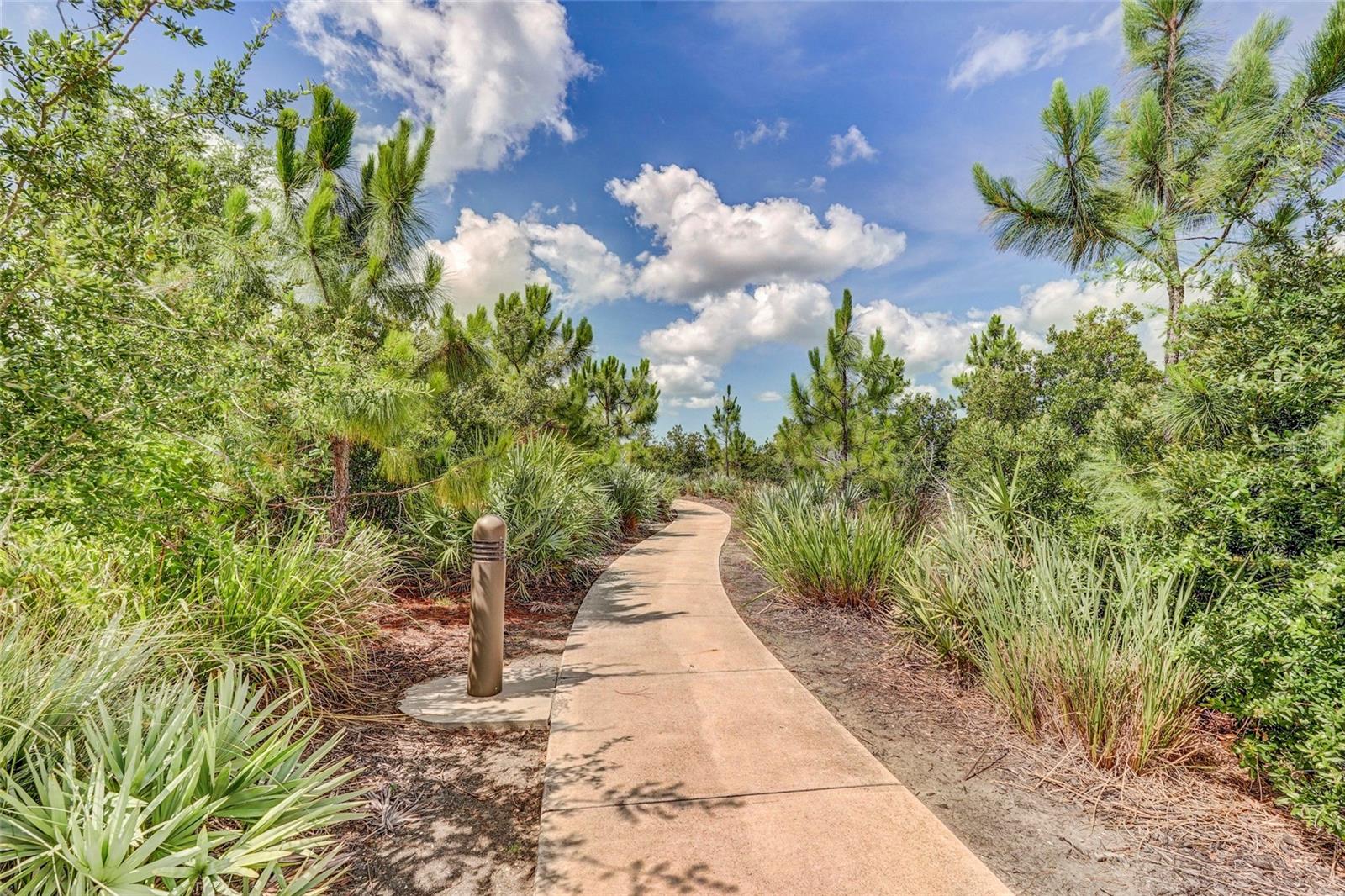 10233 Lake Wales Cir Property Photo 85