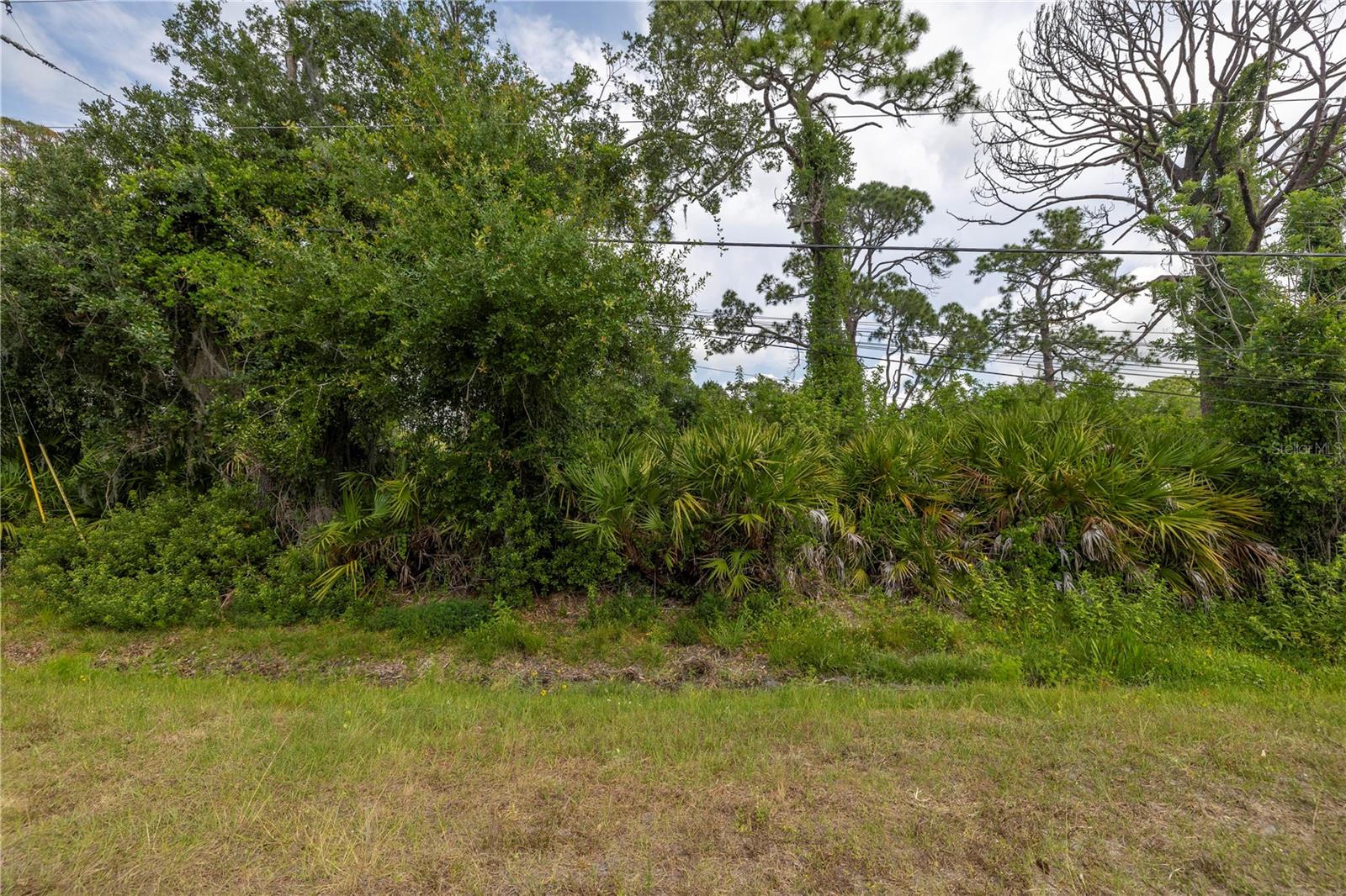 De Leon Dr Property Photo 10