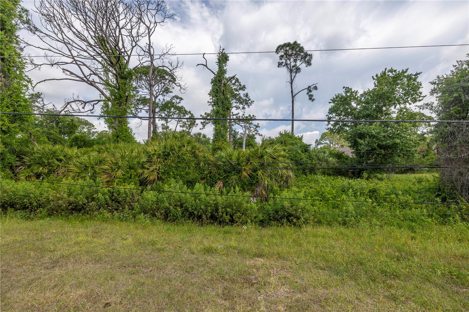 De Leon Dr Property Photo 14