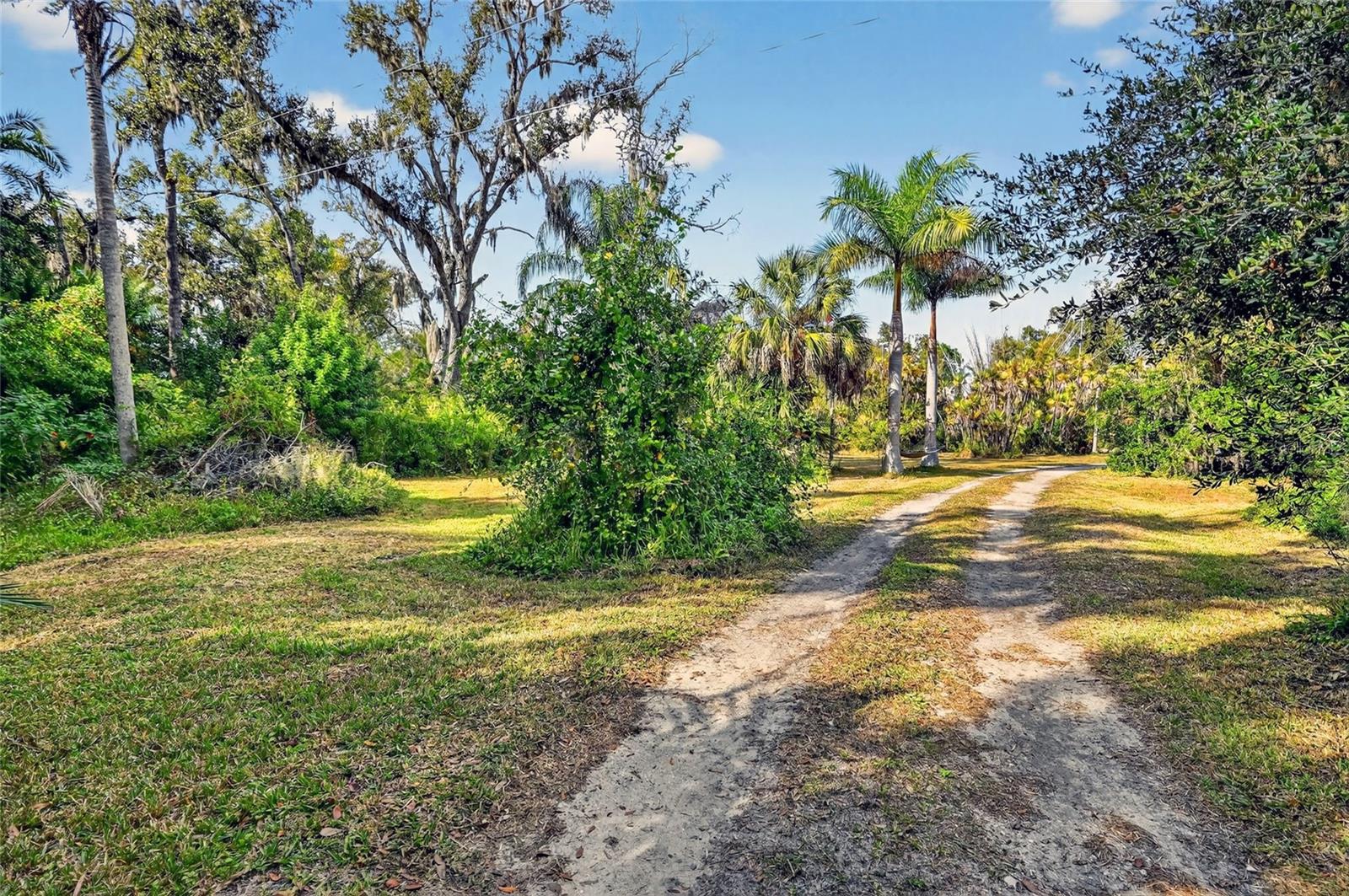 7808 34th Ct E Property Photo 19