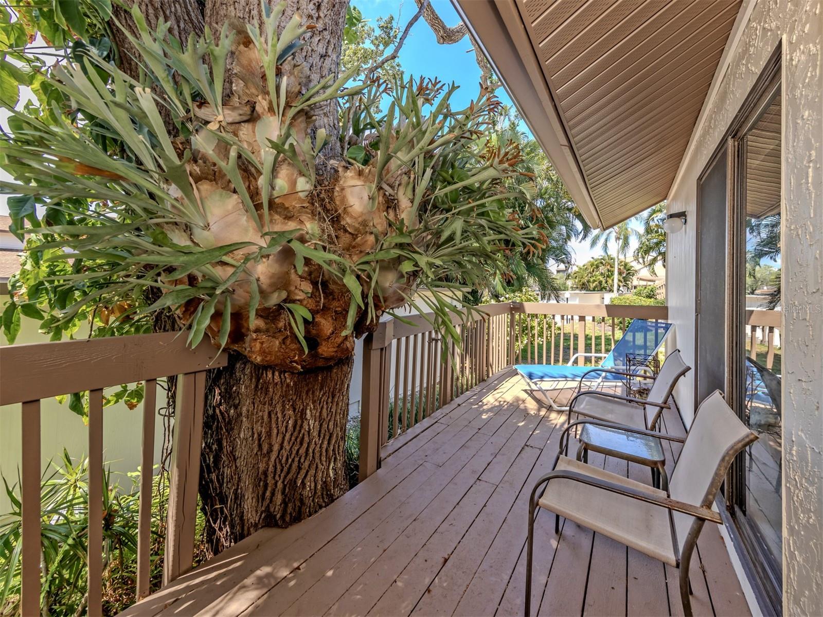 868 Bird Bay Way #197 Property Photo 4