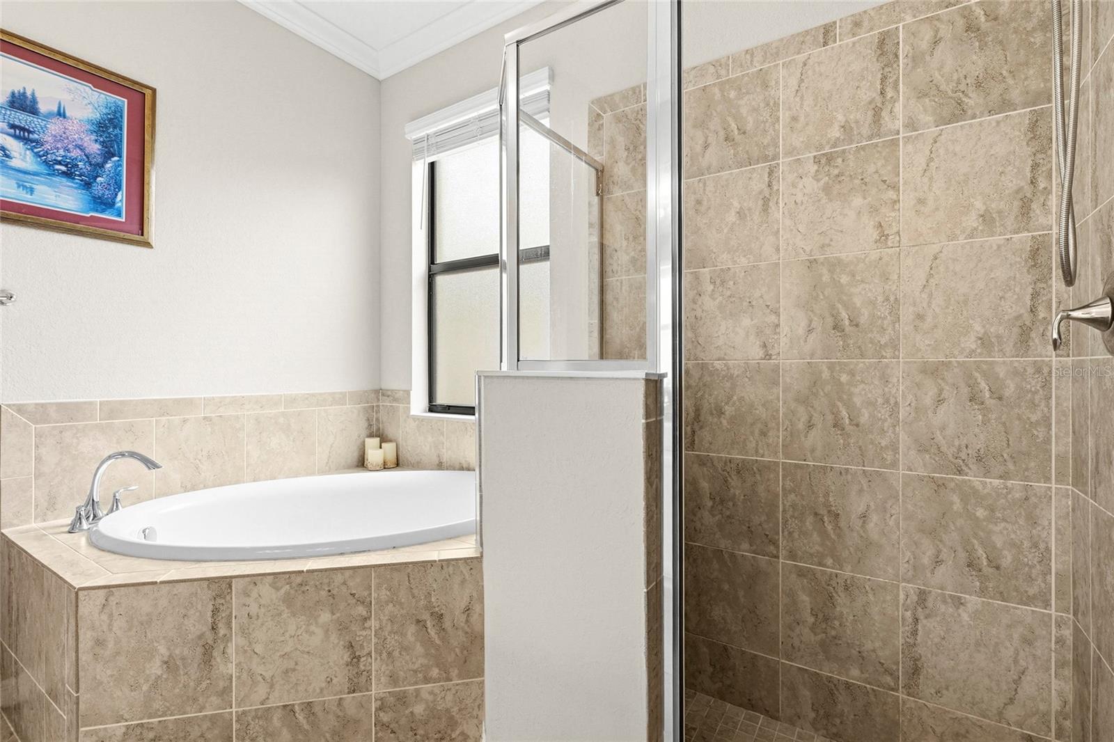 12055 Amica Loop Property Photo 30