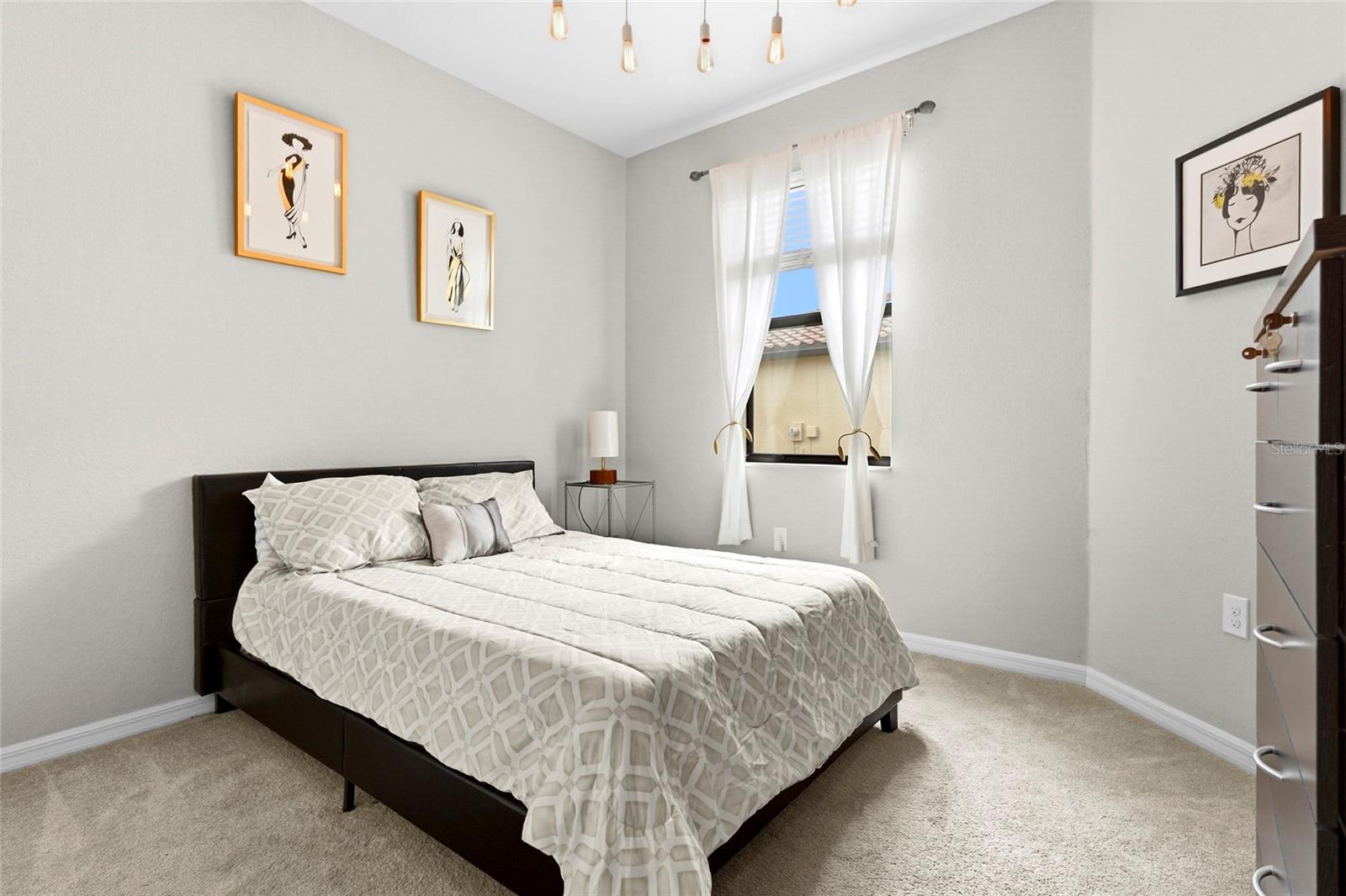 12055 Amica Loop Property Photo 34