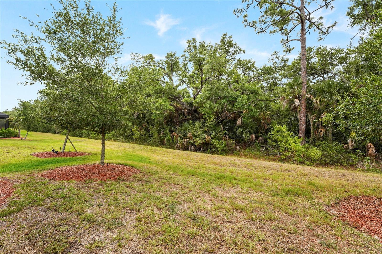 12055 Amica Loop Property Photo 49