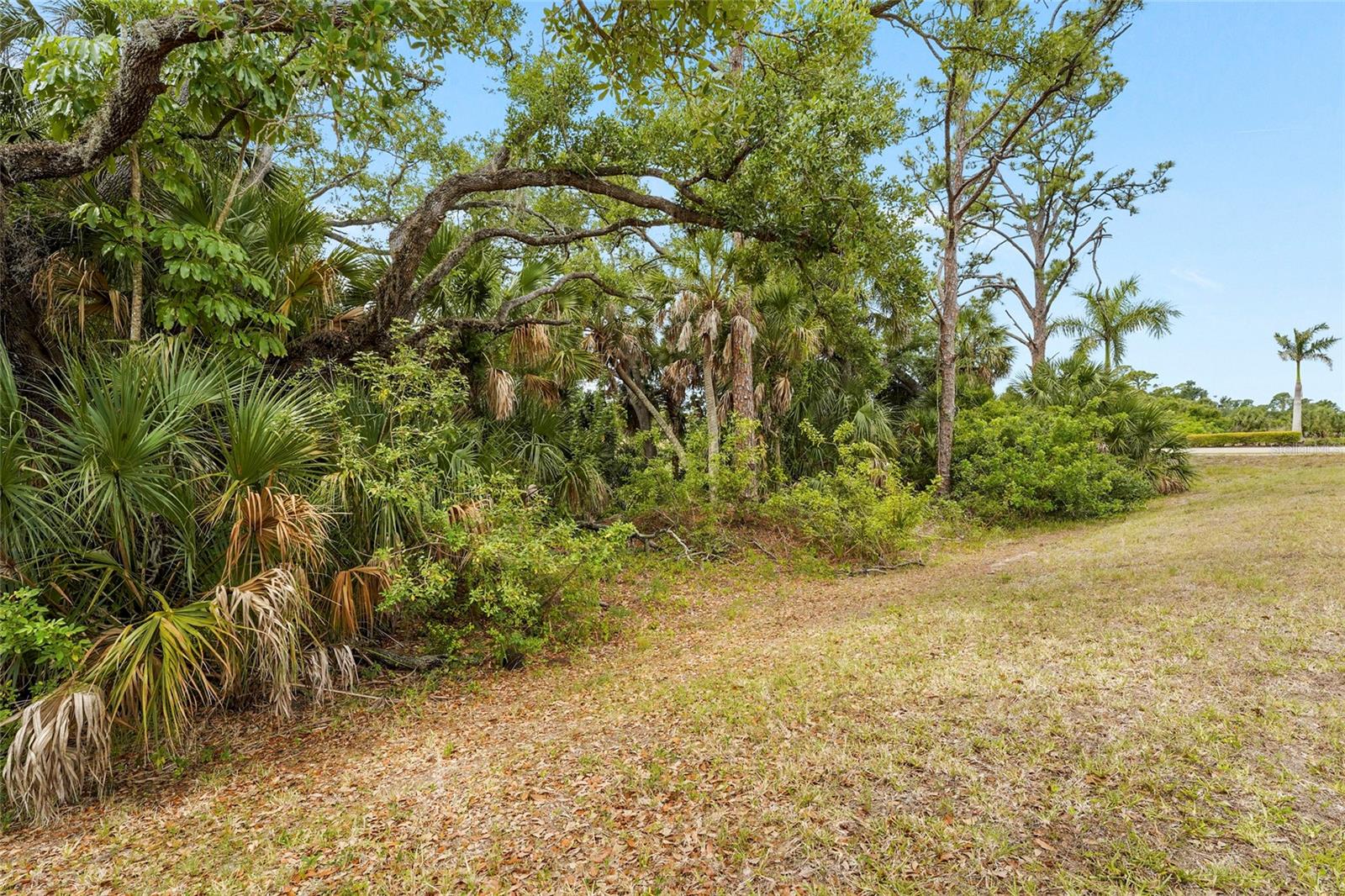 12055 Amica Loop Property Photo 50