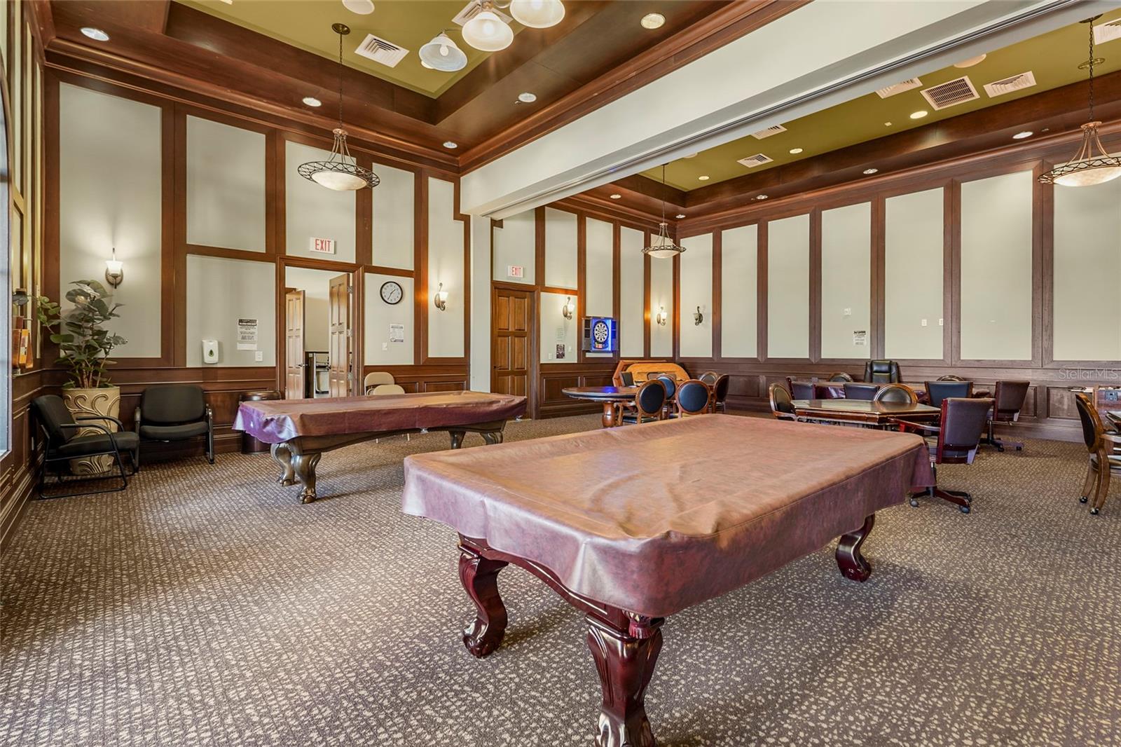 12055 Amica Loop Property Photo 94