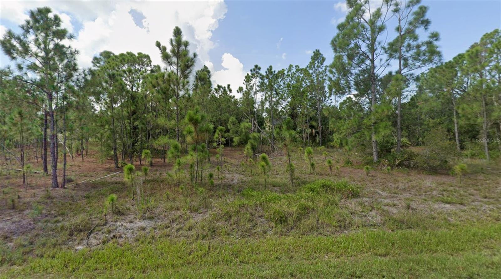 27117 Badger Dr Property Photo 2