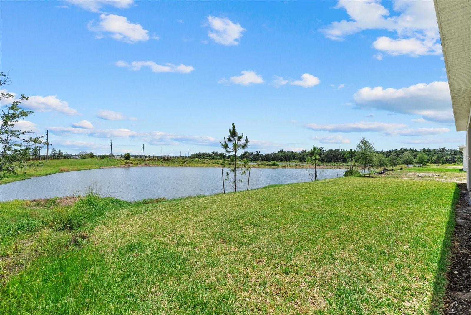 8668 Salmar Loop Property Photo 40