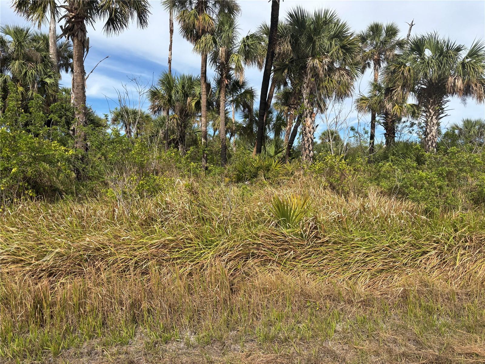 Melissa Ter Property Photo 1