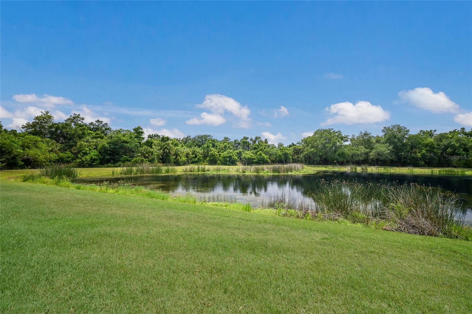 12287 Lavender Loop Property Photo 37