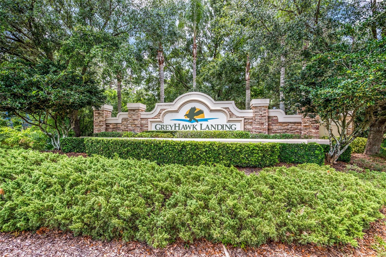 12287 Lavender Loop Property Photo 41