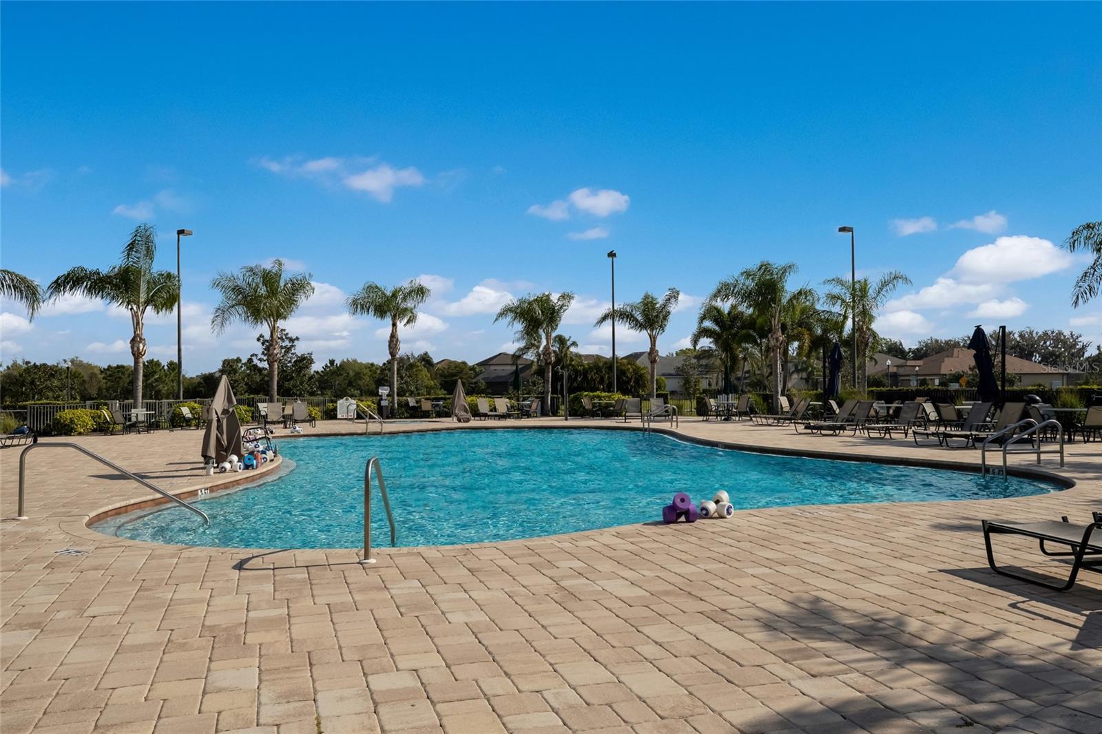 12287 Lavender Loop Property Photo 54
