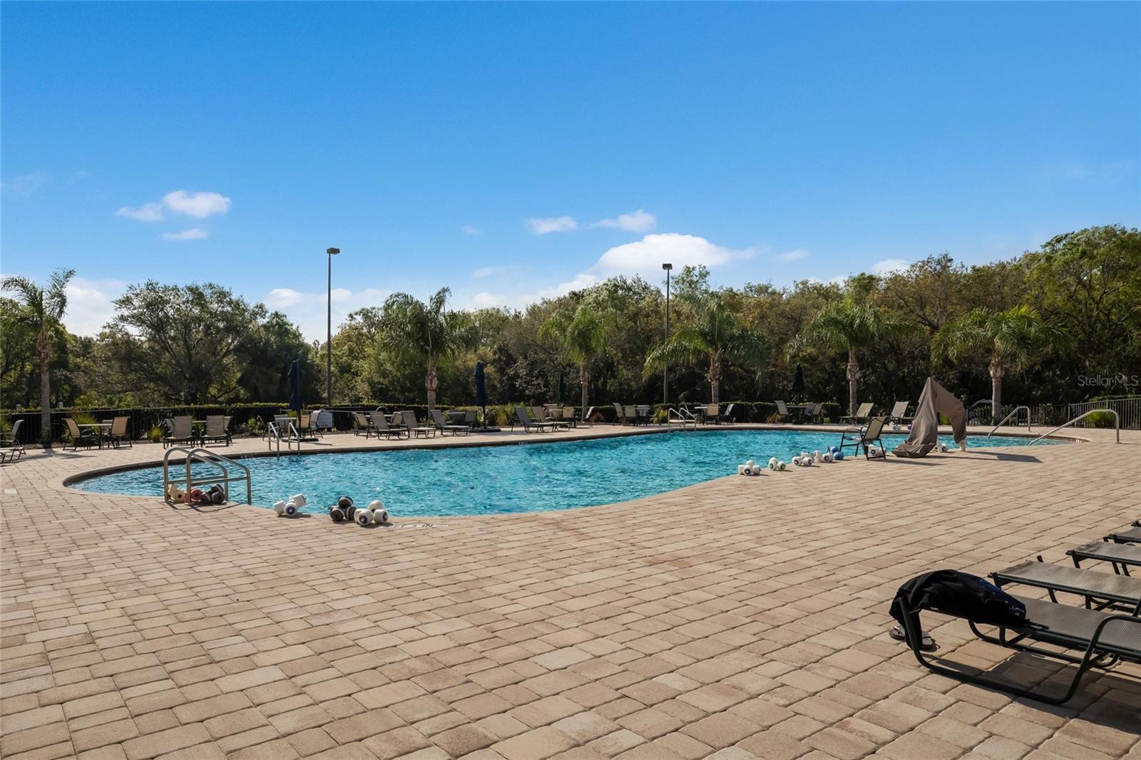 12287 Lavender Loop Property Photo 55