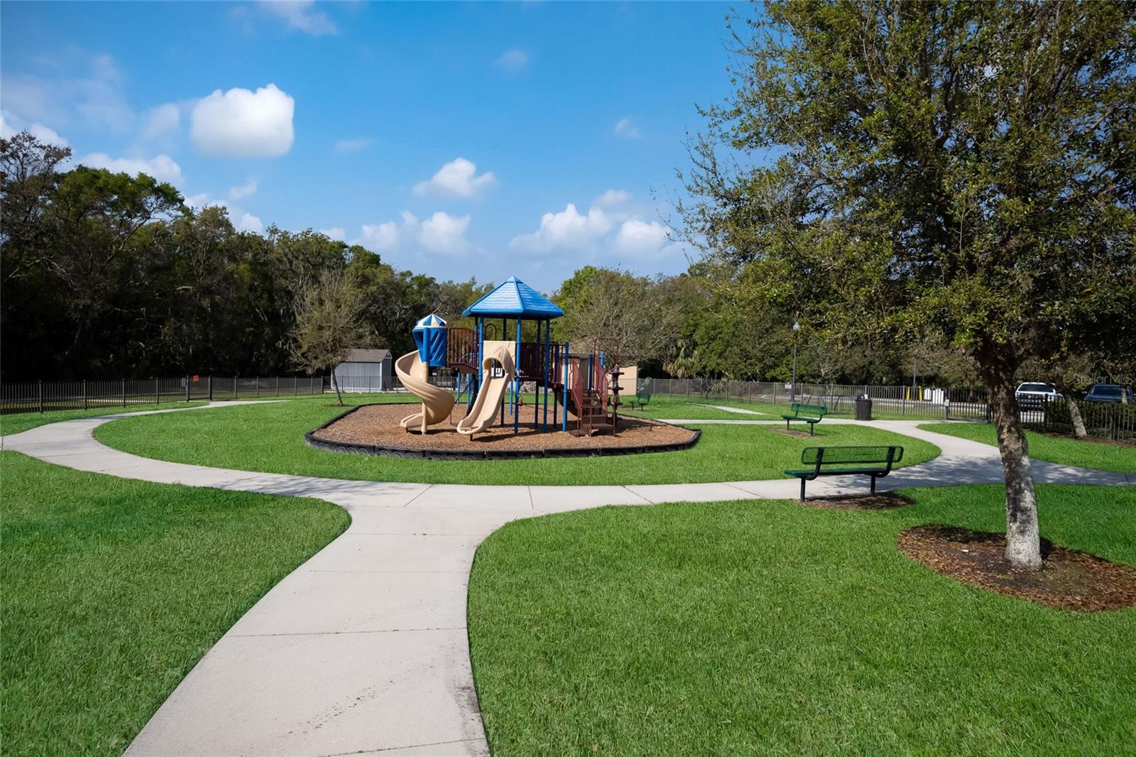 12287 Lavender Loop Property Photo 56