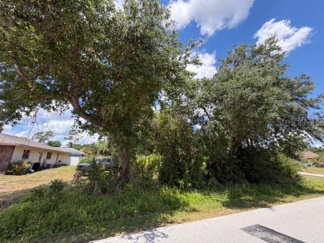 1381 Eagle St Property Photo 22
