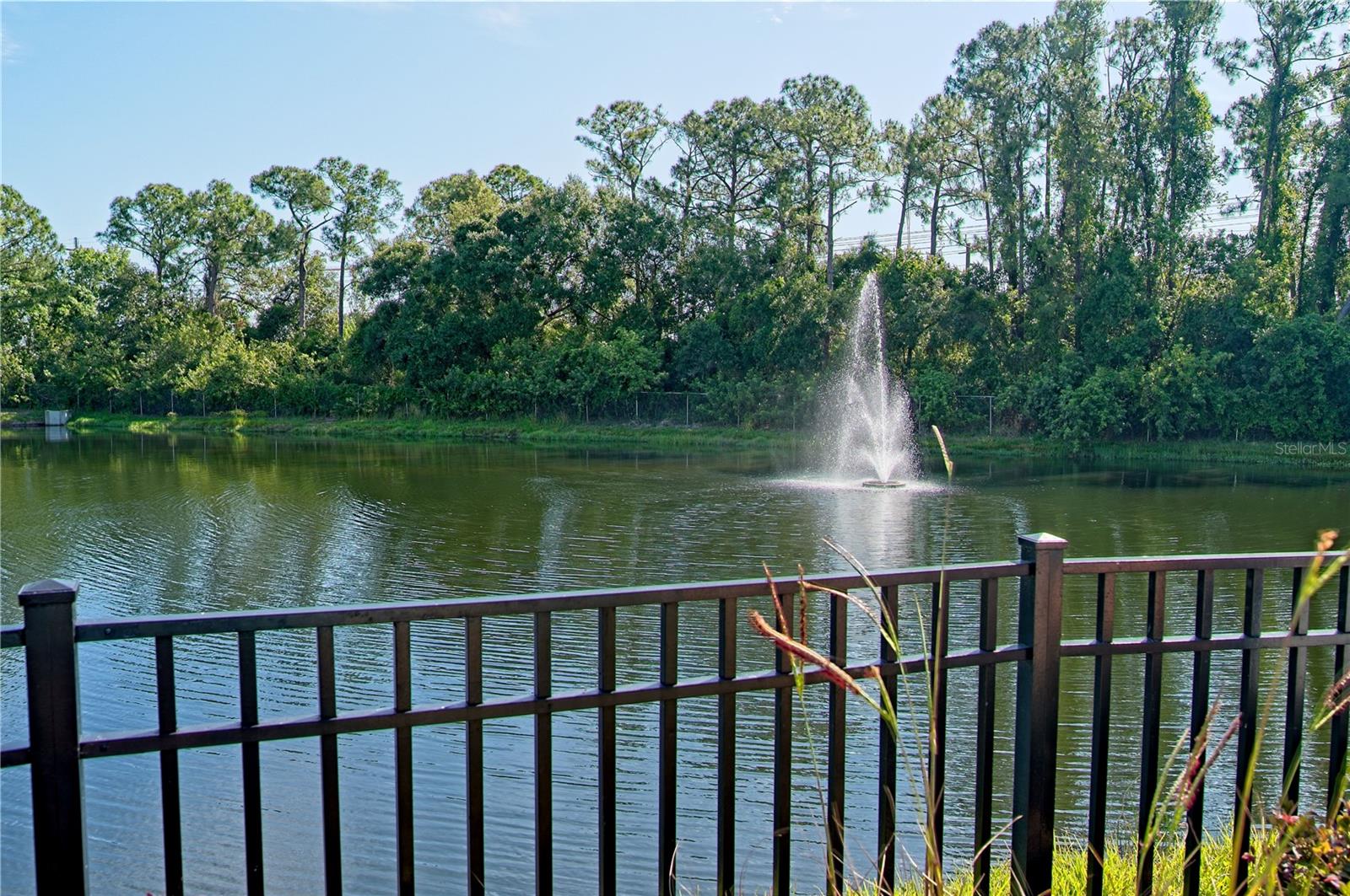 5551 Bentgrass Dr #11-303 Property Photo 31