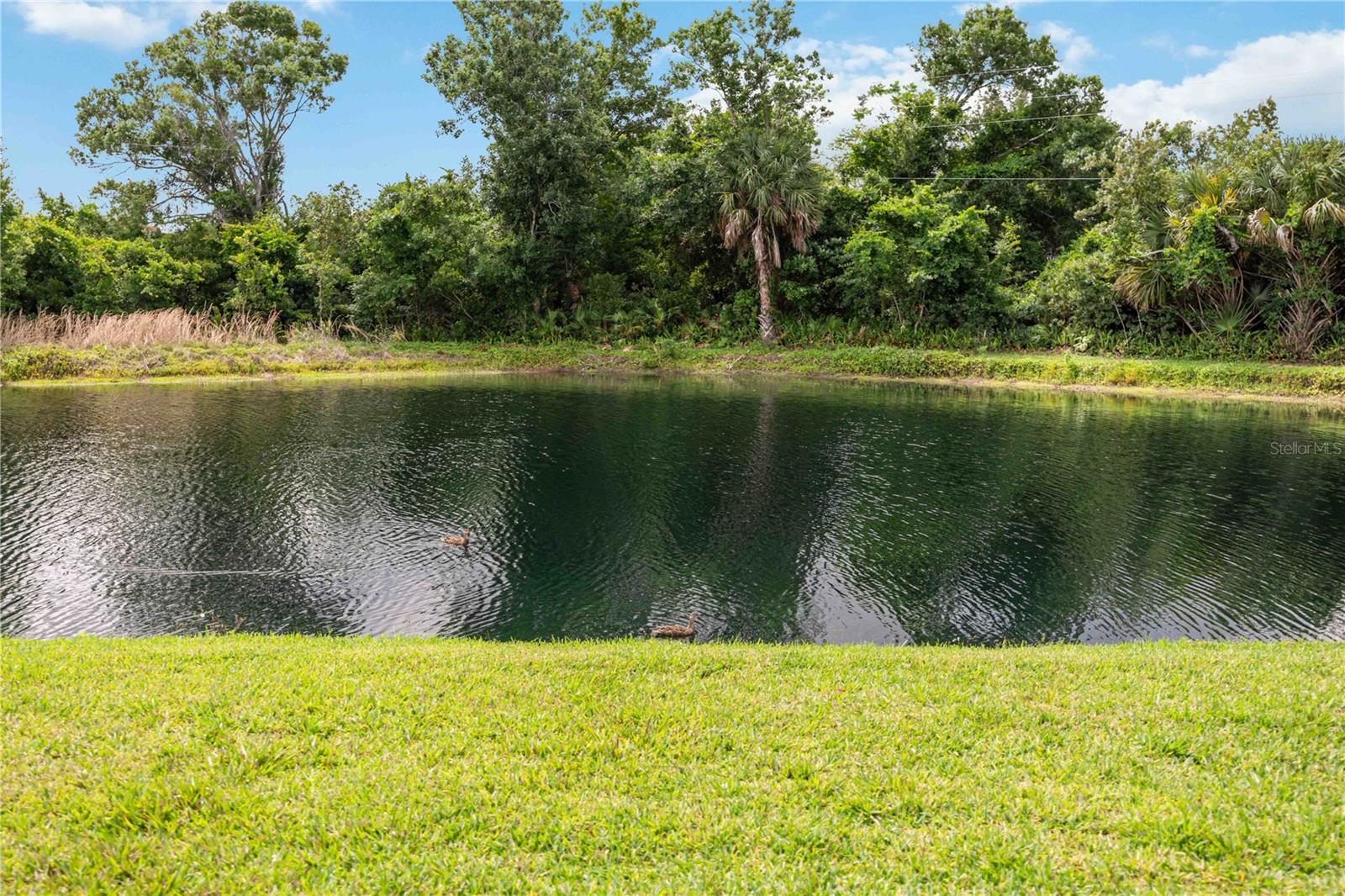 6567 Draw Ln #104 Property Photo 58