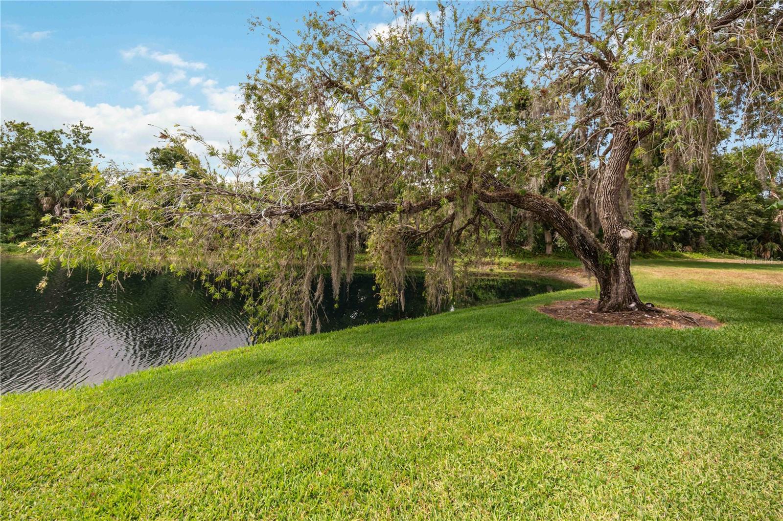 6567 Draw Ln #104 Property Photo 60