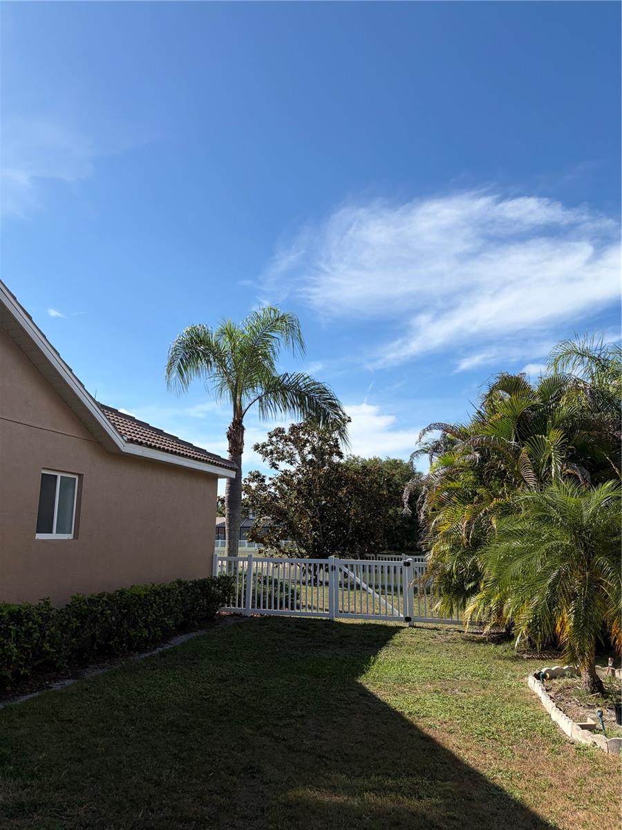 7779 Arolla Pine Blvd Property Photo 4