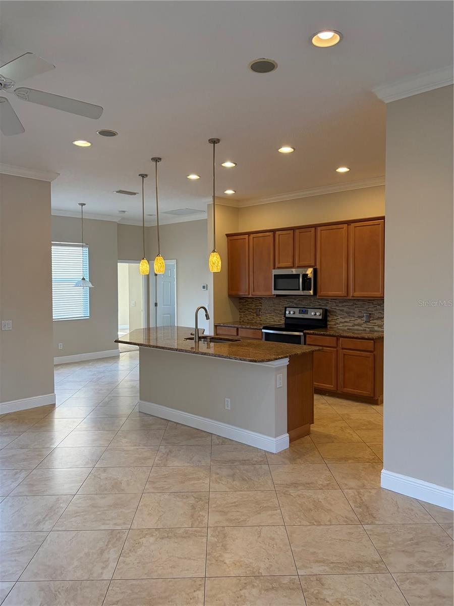 7779 Arolla Pine Blvd Property Photo 10