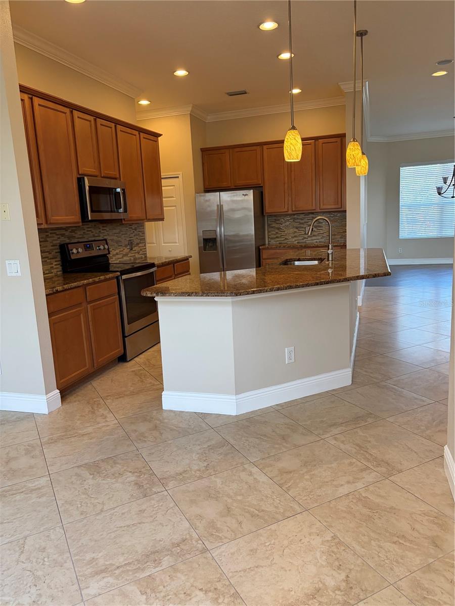 7779 Arolla Pine Blvd Property Photo 11