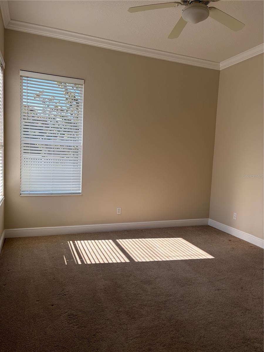 7779 Arolla Pine Blvd Property Photo 16