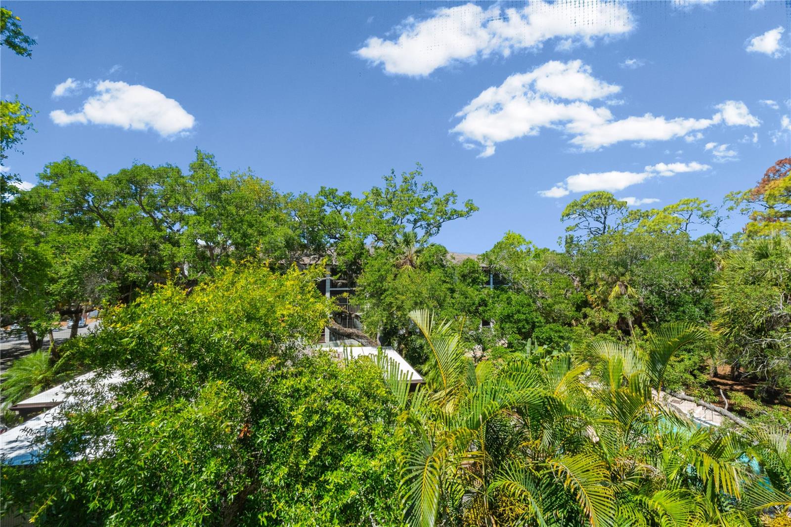 2746 Orchid Oaks Dr #301 Property Photo 33