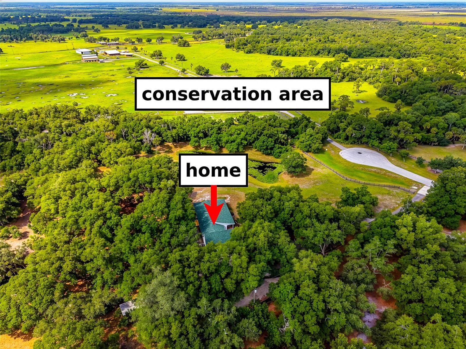 14705 Mossy Hammock Ln Property Photo 1