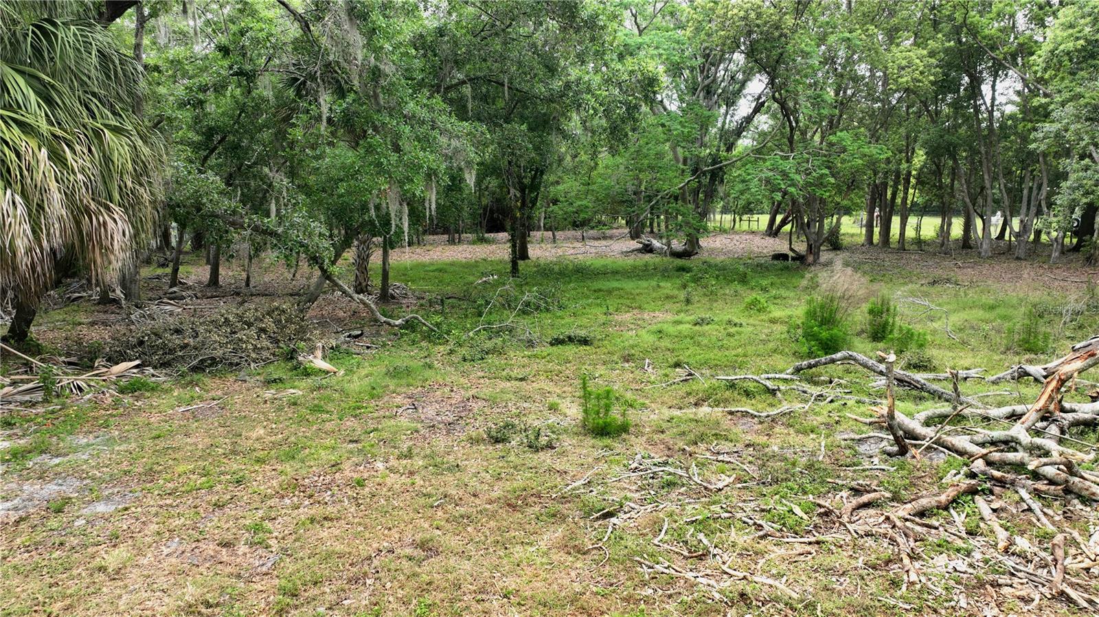 Old Cone Grove Road Property Photo 5