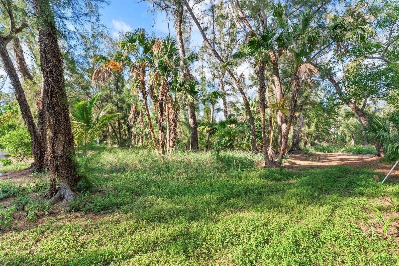 7143 La Lenaire Dr Property Photo 65