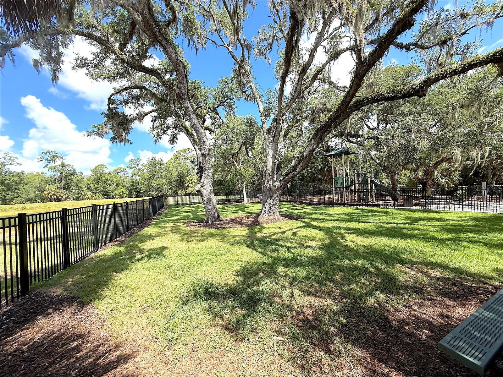 6549 Serenity Fall Ln Property Photo 21