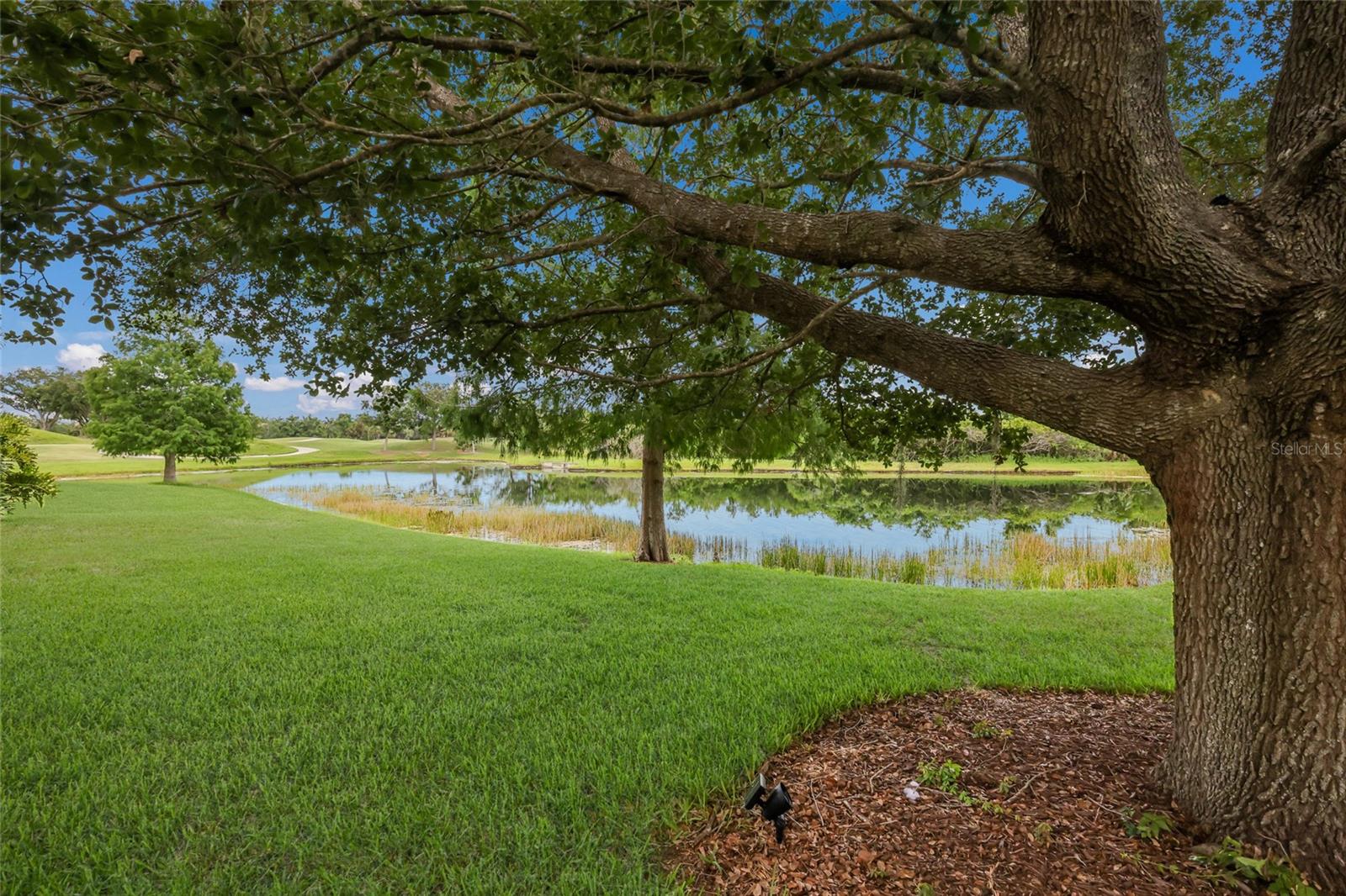 12710 Stone Ridge Pl Property Photo 75